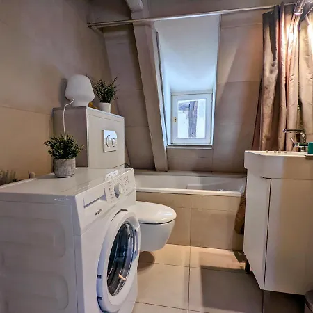 Citycosy - Authentique Batelier * Strasbourg