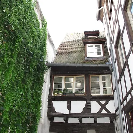 Citycosy - Authentique Batelier