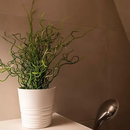 Apartament Citycosy - Authentique Batelier