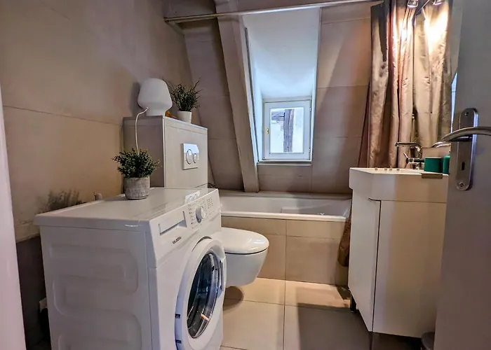 Citycosy - Authentique Batelier * Strasbourg