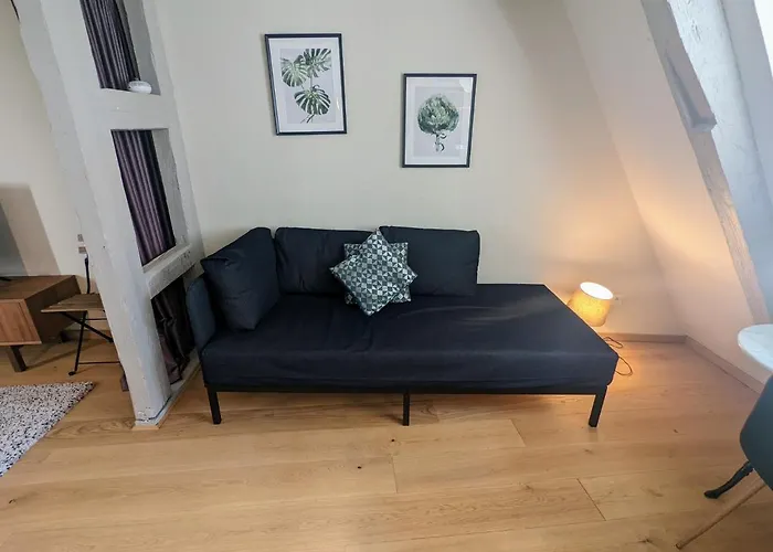 Citycosy - Authentique Batelier Lejlighed Strasbourg
