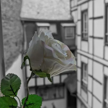 Appartement Citycosy - Authentique Batelier Straatsburg
